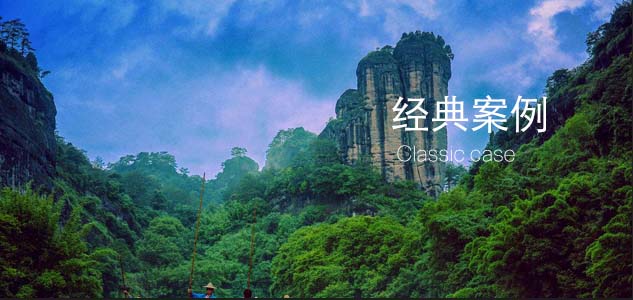 经典案例